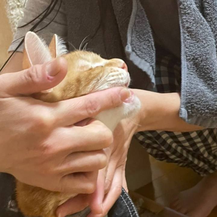 9b9049ad d790 4957 9d82 bdbf5b9e8b18 1643888832892