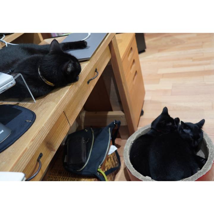 9b9057ee 6cff 4a30 acaf dfa8fd3cf4ce 1590677282679