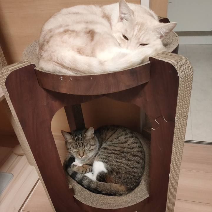 9b90761f b8ad 4b74 94d8 2d3a8fe4a6cd 1664362268310