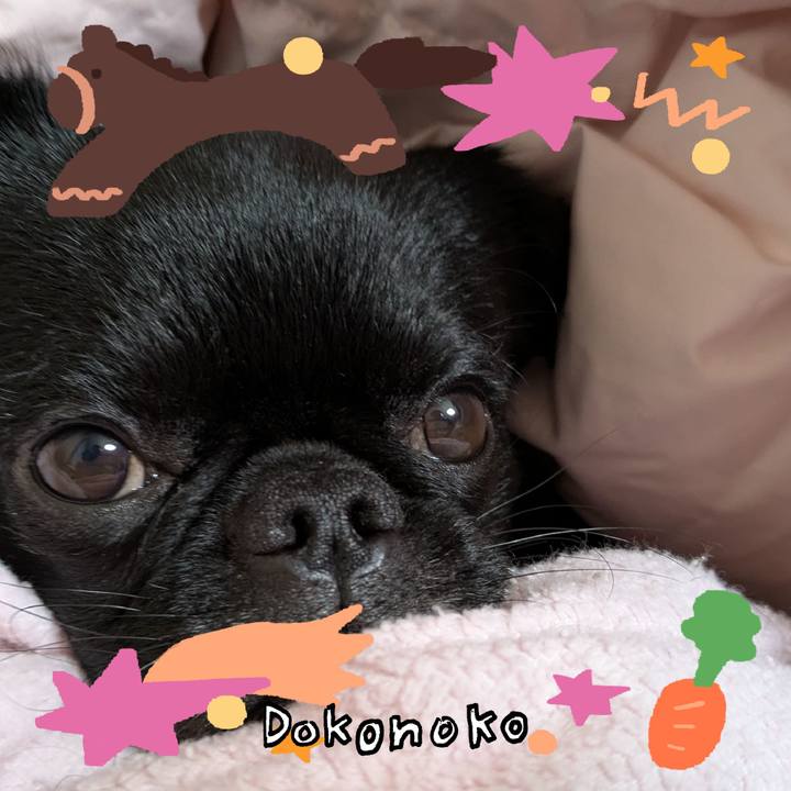 9b908db0 a097 4a09 98a5 864c283c5b9b 1772368887899