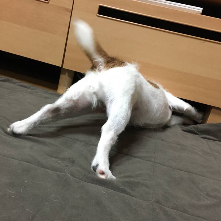 9b90c754 0998 4a5d 8295 ccb9b4fd4800 1629069240851