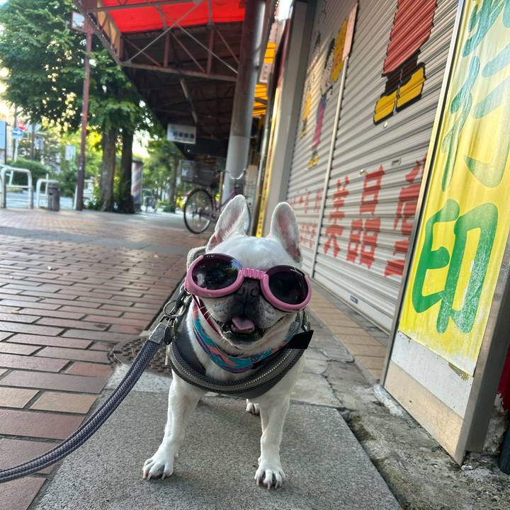 9b90f322 6afe 4ea4 bbba 55ee81aeada5 1753057805286