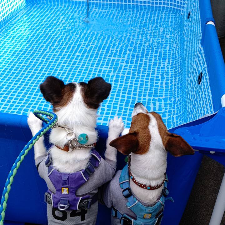 9b91118f b09a 492c 9823 371bc23a45ba 1628671556184