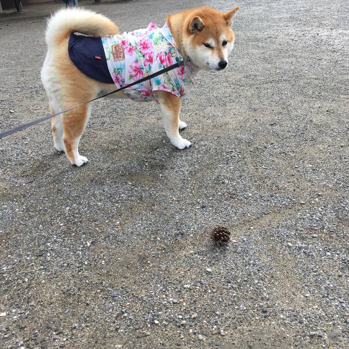 9b912d7b 7d83 4fea a1b2 e435383945f6 1569196103011