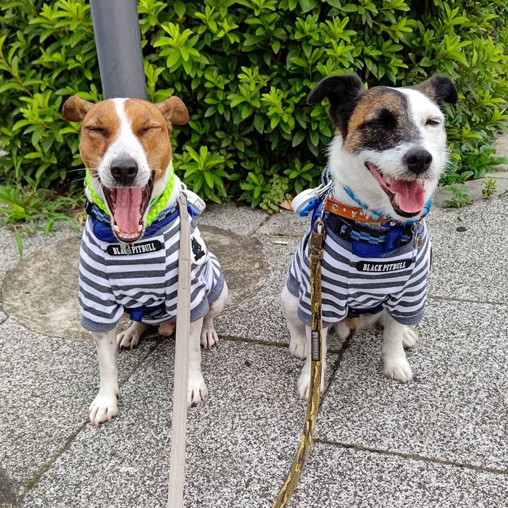 9b913816 e30b 42e0 905f d2ca3b9777b0 1624399793595