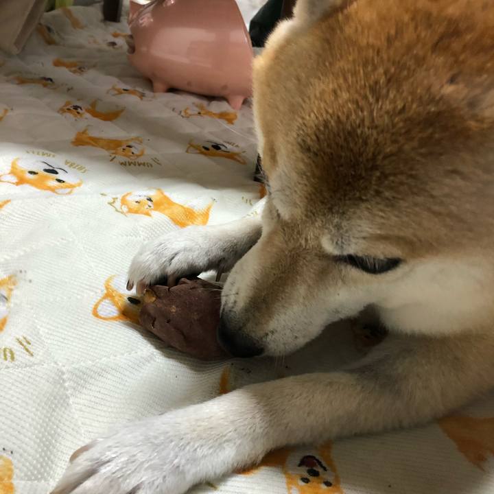 9b917de5 0c66 45b8 afe1 2b37064dac68 1571958682661