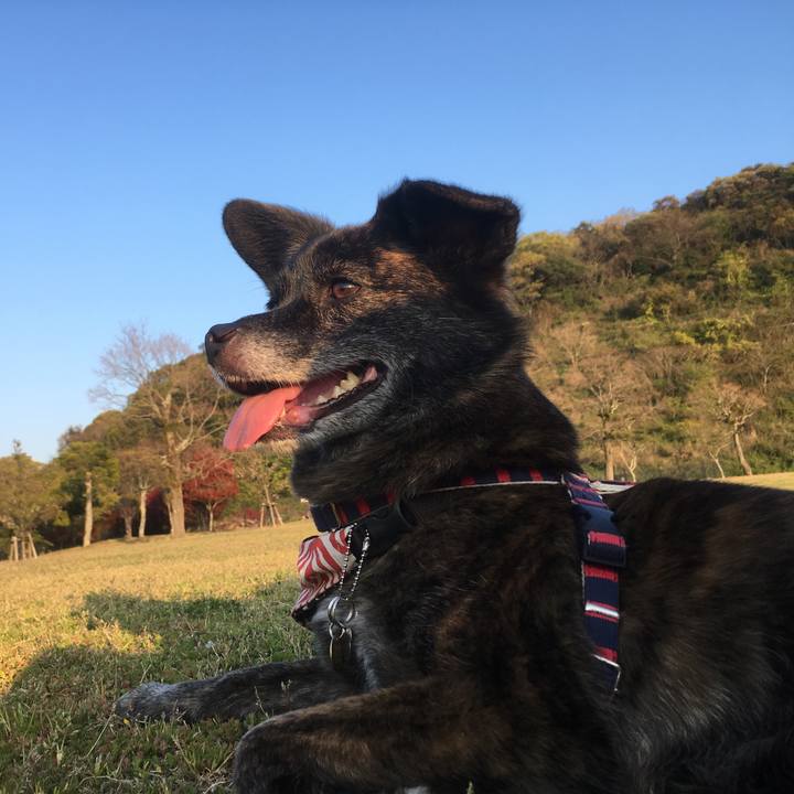 9b91a71d 785d 4f8a 9cdb 06fb4c472353 1555079624457