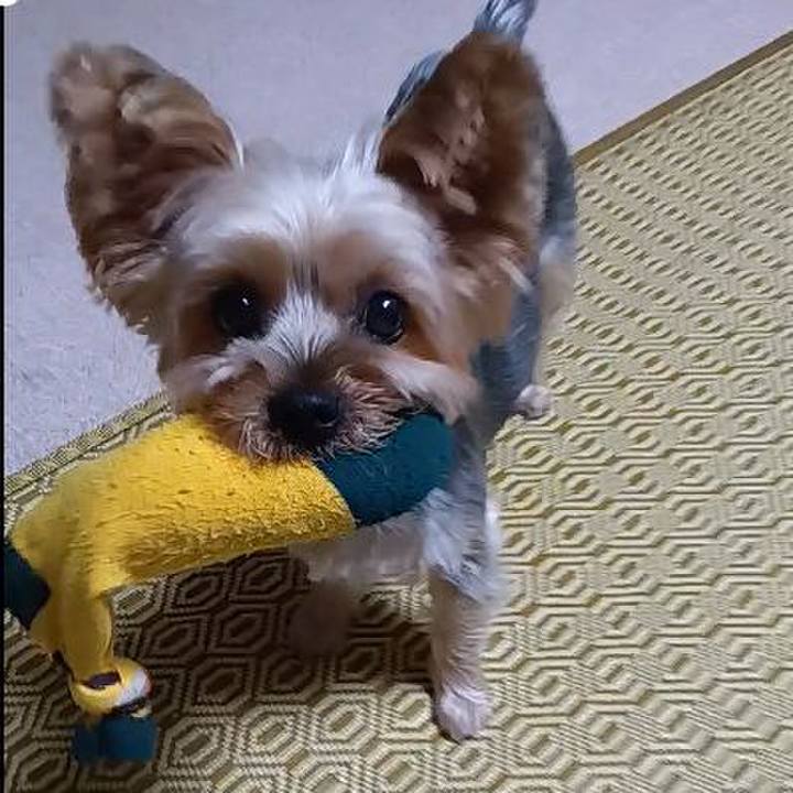 9b91c453 0785 4994 b5ad 826a09d3b052 1728966992205