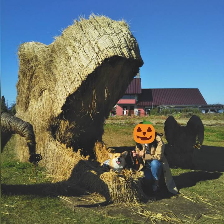 9b91ce95 57e2 491d b404 f38cfa52dba9 1540117557709