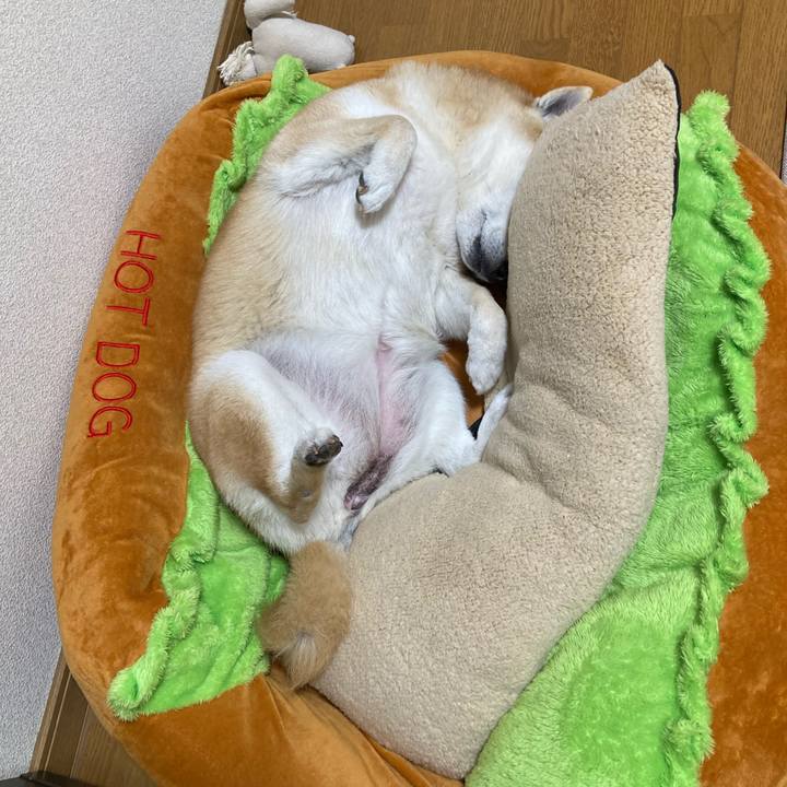 9b920d68 4dbd 490a 8674 f5fdb89ccc7e 1620643830662