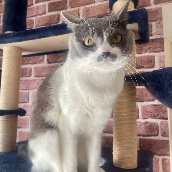 9b9237f4 733e 4dcb 9d97 ab243b939109 1646441137705