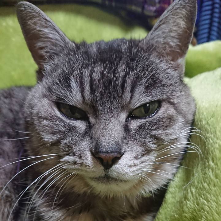 9b92665d 2f24 4108 8306 ce040a78d4c8 1582286951813