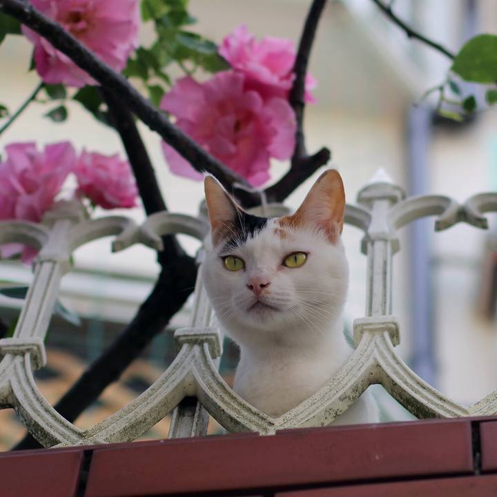 9b92da01 b959 4652 8429 c95874108fcb 1591055293916