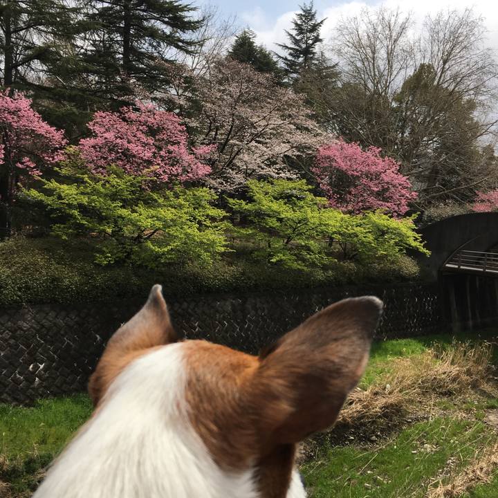 9b92de55 c0c1 494c a1a0 275999394028 1554093258167