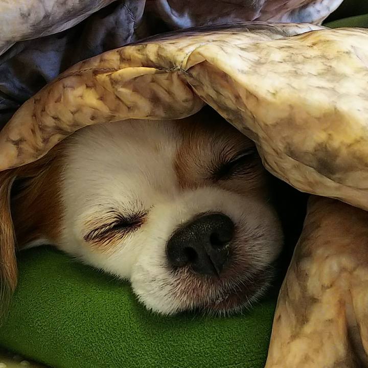 9b93144d bdfa 4be4 8c4f ef3be68048df 1530184997715