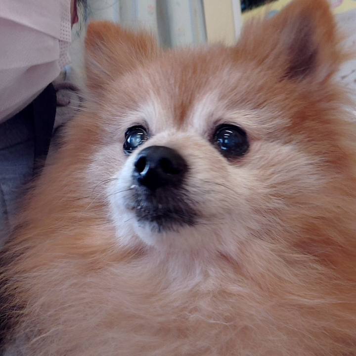 9b9323cc e589 4d32 952f 383249e00e6d 1615966544636