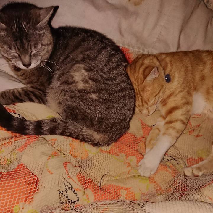 9b9383af 1875 4787 be43 e72d51898d0a 1562702147091