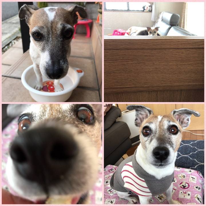 9b93a523 de98 4fb8 b05a a97c6e31698a 1521351773621