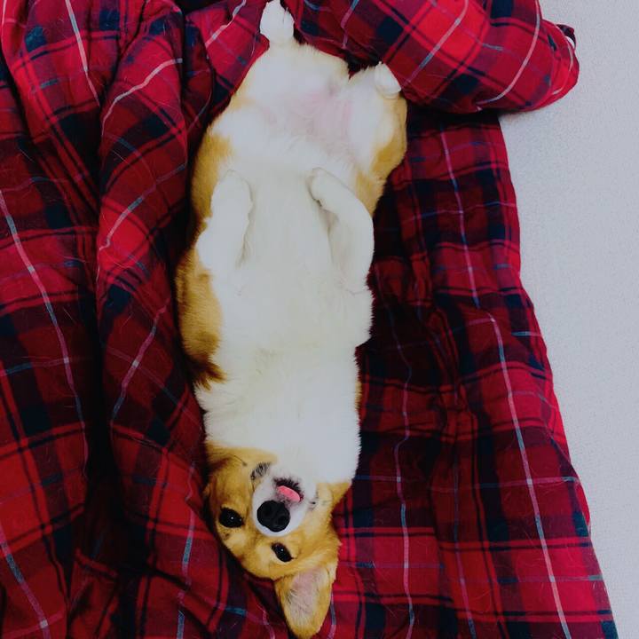 9b93ce89 3182 402b 911e 4f6d07a8671e 1576040176223