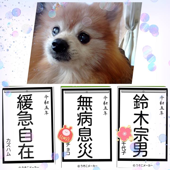 9b93d276 7d3c 42e9 8b6a 272755deb831 1672912584979