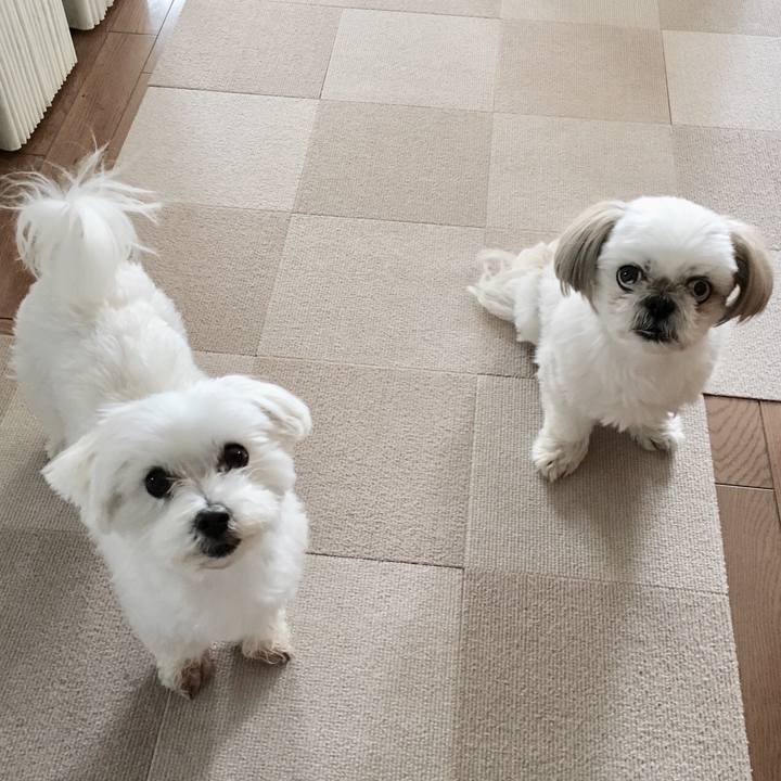 9b93da3c 1dad 4cf8 a509 fbd8fbe53e15 1556680748635