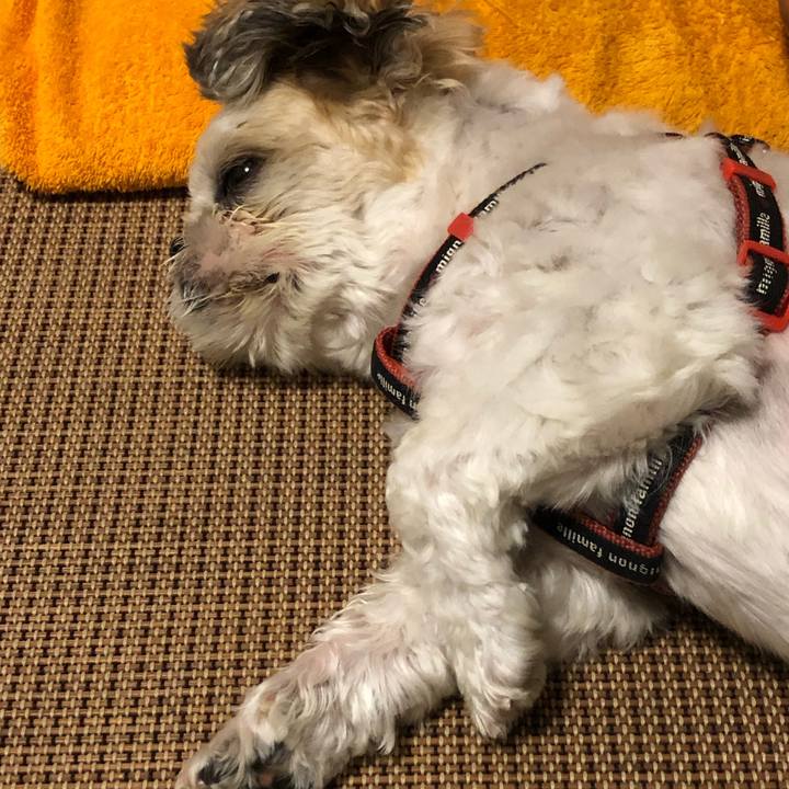 9b93f986 76c6 4bf5 9c45 5bd0b0c9f625 1600119759225