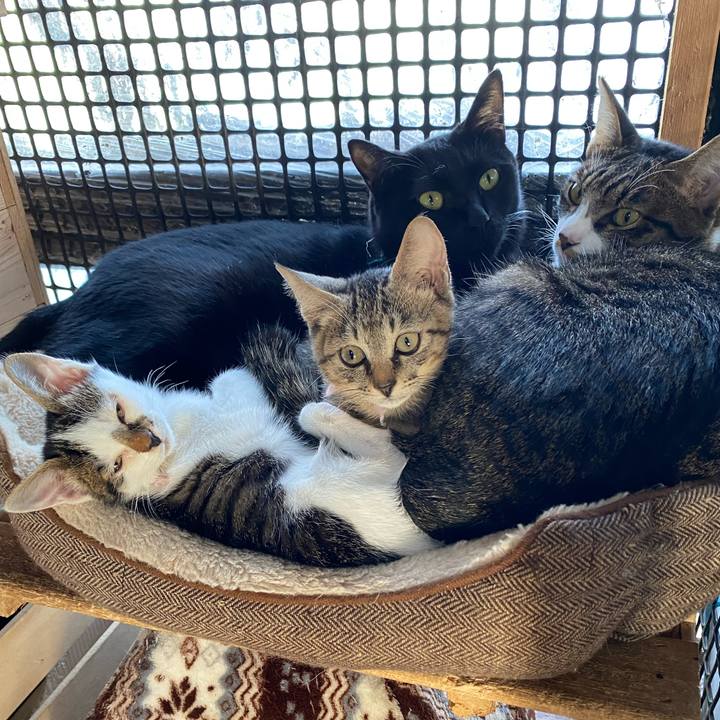 9b93fbcc 4bf7 48cd 8c81 1a0b33108d42 1602634183825