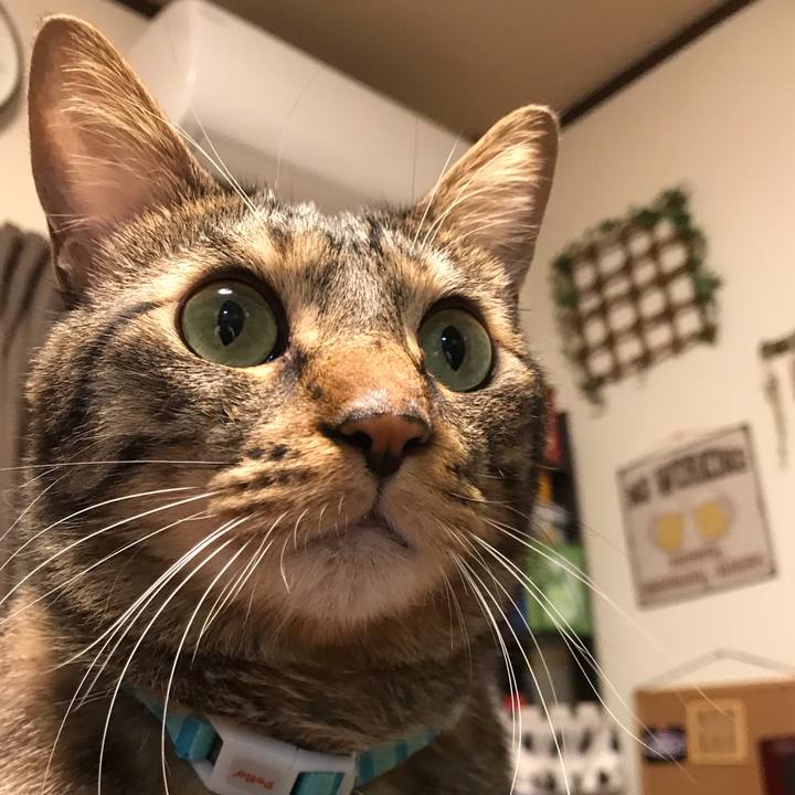 9b9401ea a597 4d80 977b 3f00ee99e63e 1651582806897