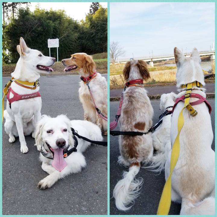 9b946227 1927 49fa b3d0 89c5549534d4 1609210842915