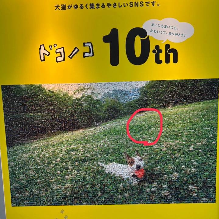 9b94a8ae d5d8 4b7f b664 dd81d4cf3bf2 1780393973177