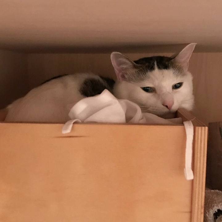 9b94fd07 2829 4e40 8b56 058d9aee661b 1575939235126