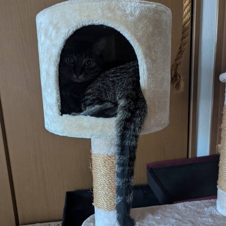 9b9546b6 8ce5 447f 9bf8 37d830a0ad90 1753313265393