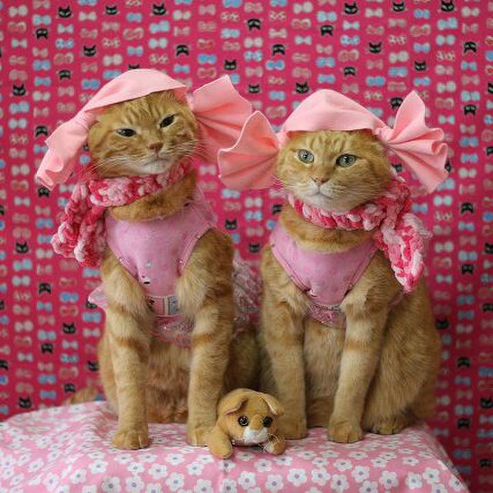 9b955823 0c20 4597 a531 274b72f47c69 1532765487906