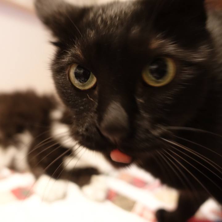 9b955923 1fc1 45ad 9169 66b0ef51546d 1538586422381