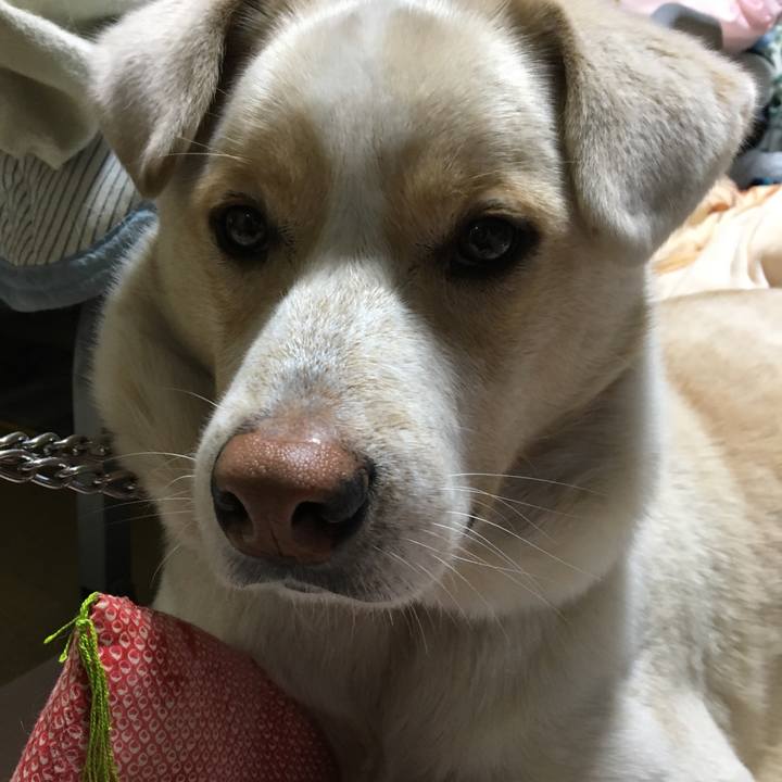 9b9562f4 fe72 45a9 be62 50be95a26302 1515235256091