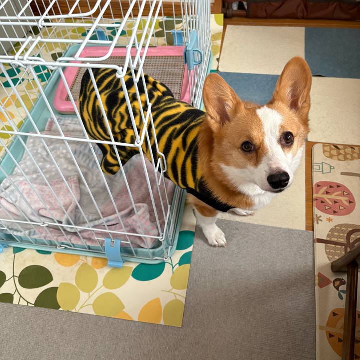 9b958828 f1d9 49a2 96f4 fbe7c166f82a 1770436718222