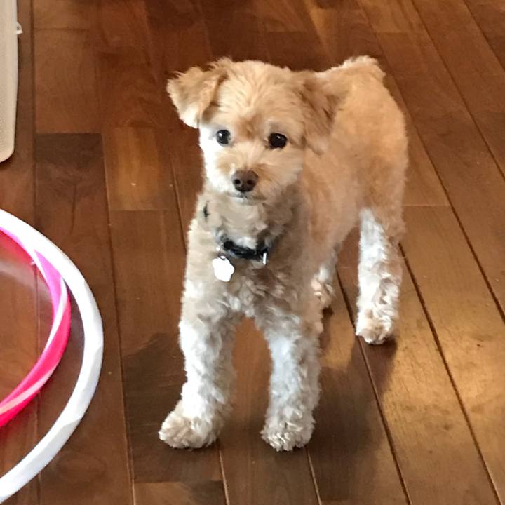 9b95aec8 00ff 49b3 8af9 254725980345 1568788749181