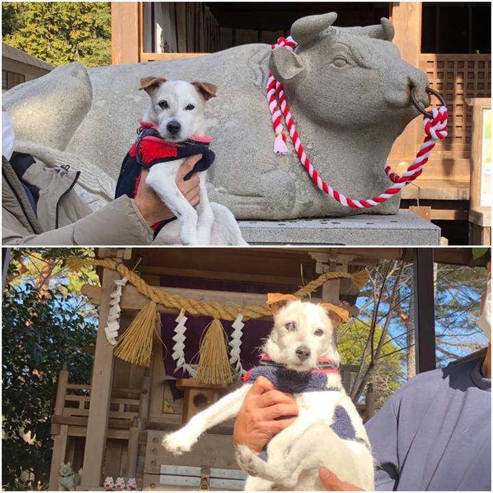 9b960903 b2c8 4d03 8363 a2326f1cef14 1641796118894