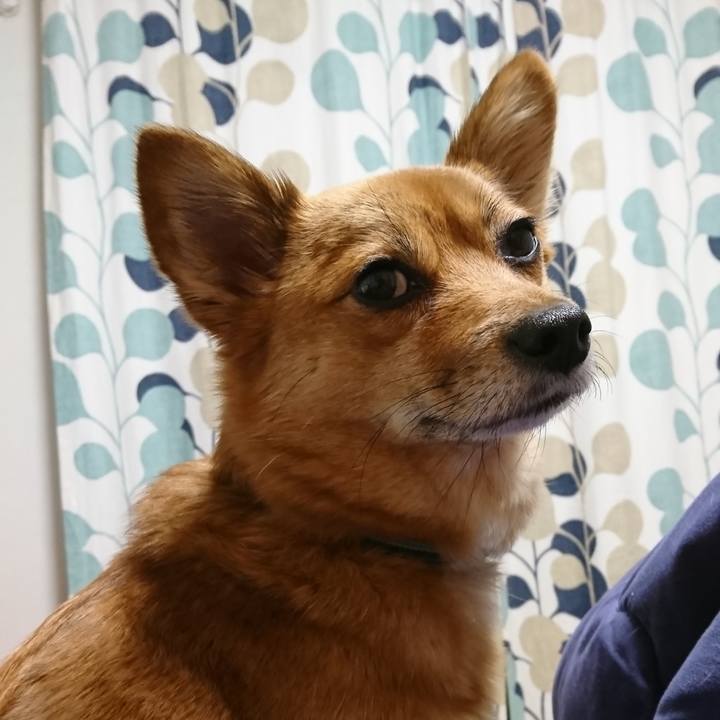 9b962399 e14b 4e25 8eda cd009695361d 1548106633552