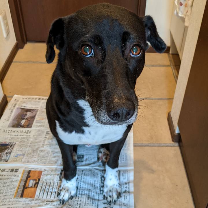 9b96287c 3d2b 4945 a918 9cded93be898 1630712143299