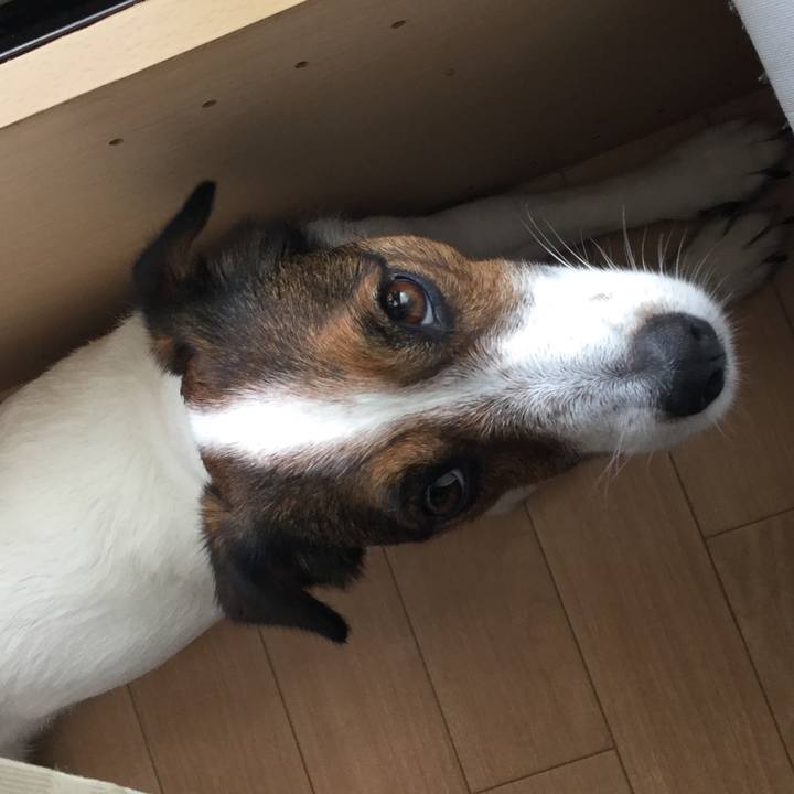 9b963b4a 3d50 4199 812c e44ddf9dcc8d 1530225941178