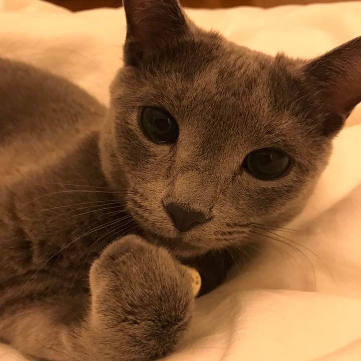 9b966649 7c09 4074 9b19 b7f1eba28f4d 1603420550380