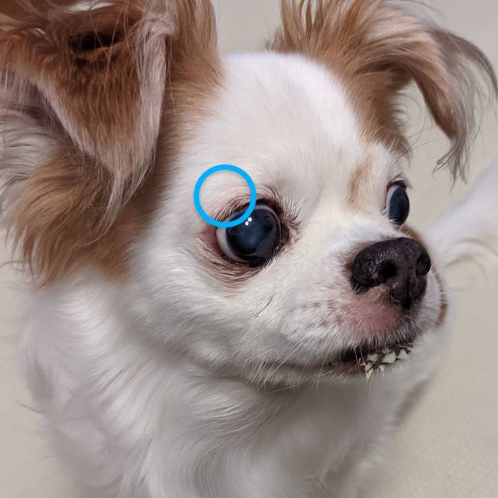 9b96947b 2bfb 48d0 b6b7 bdaf98e8be73 1630279721797