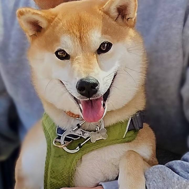 9b96a9d5 138a 40e5 af2f 4c30c00f48db 1678580050403