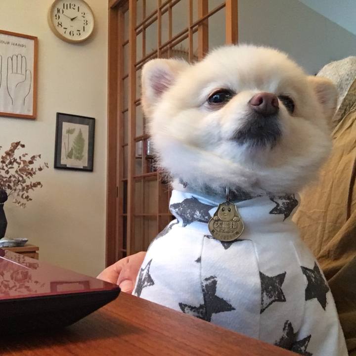 9b96ab44 3c06 427b 800f 3b46898bc173 1609390089128