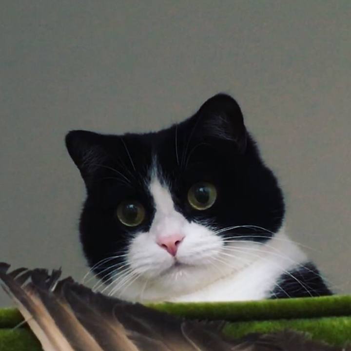 9b96c4a4 5bcf 496b a41d b53a066b6283 1635059991117