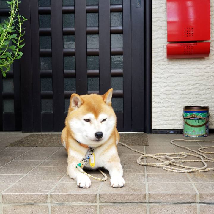 9b96c58c 8a1d 48c4 902e be2ddca7dd35 1568252422064