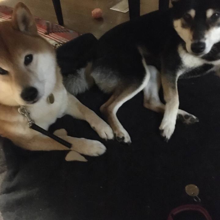 9b96d215 6311 4ad5 a871 f9d5bab74ad8 1612967033245