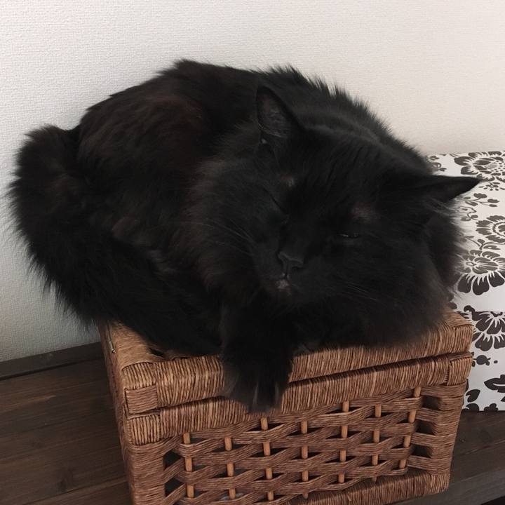 9b971227 caaa 475a aa94 c3d5c1087f16 1552432189138