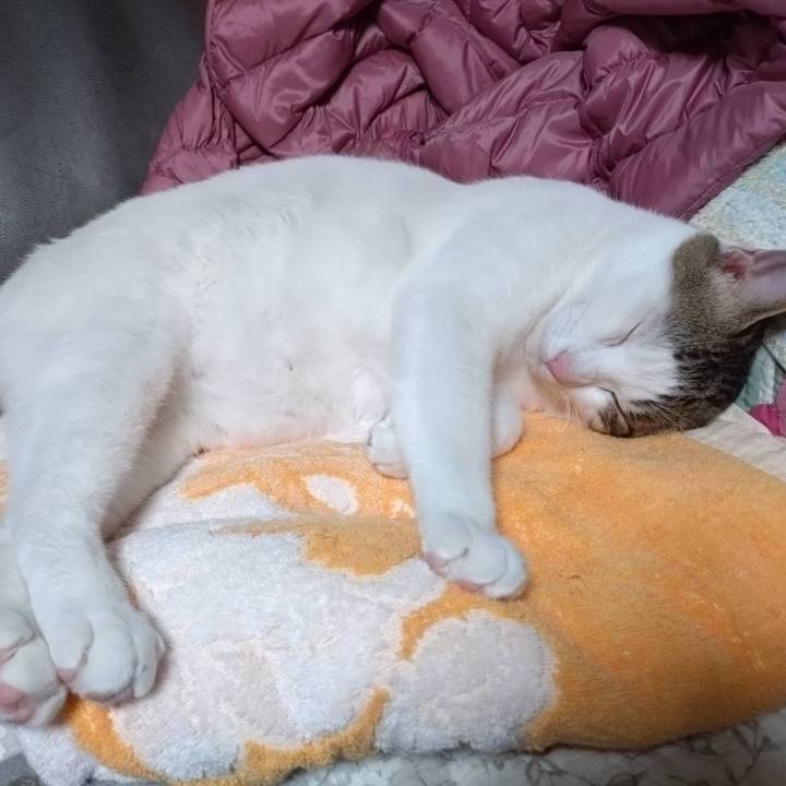 9b9713bb 3aa1 47e9 8a20 b812ede0b768 1716814545379